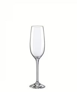 Champagne Yarra Glas 20cl 6st