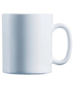 Evolution mugg, 300 ml