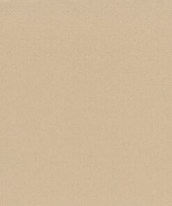 Servett 24cm 2 lags Natur 2800st