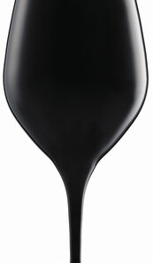 Special Glasses Blind Tasting 32cl (12)